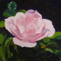thumbnail image of painting "A Rose in Bloom"