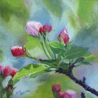 photo of painting of apple blossom buds