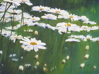 Thumbnail photo of oil painting "Coming Up Daisies"