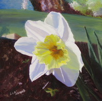 thumbnail image of painting "Daffodil in the Sun"