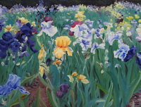 thumbnail image of painting "Iris Abundance"