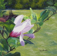 thumbnail image of painting "Magnolia at Sayen Gardens"