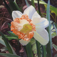 Thumbnail of painting "Orange Daffodil"