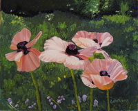 thumbnail image of painting "Poppies in the Sun"