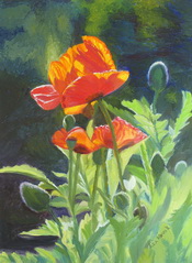 thumbnail image of painting "Poppy Joy"