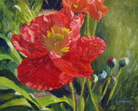 thumbnail of Cindy's Peonies, an oil painting