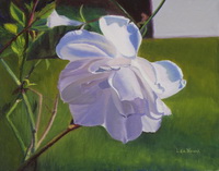 thumbnail image of painting "White Rose"